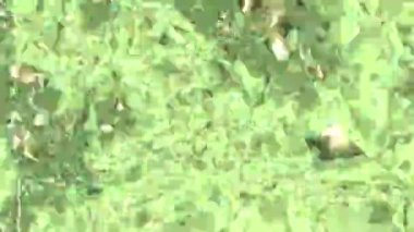 Tasarımınız için renkli arkaplan