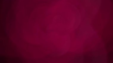 Karanlık bir arkaplanda kesişen kırmızı çizgilerden oluşan karmaşık bir ağı gösteren dinamik bir video