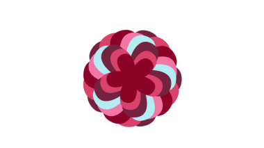 Kırmızı, pembe ve açık mavi tonlarında üst üste binen daireler içeren dinamik, soyut bir çiçek tasarımı. Saf siyah arka planda dairesel bir düzende dizilmiş.