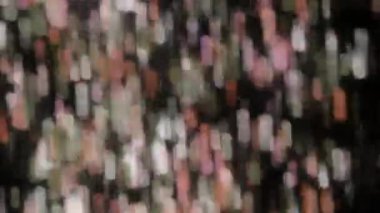 Bulanık, organik bokeh şekilleri animasyon, renkli röfleler ve bulanık görsel arkaplan oluşturur..