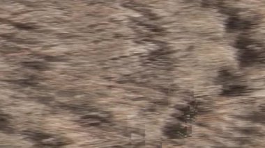 İnce gölgeler, gri ve siyahların çizgili desenleriyle harmanlanarak modern soyut bir arkaplan ve hareket hissi yaratır..