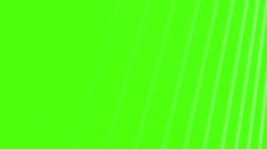 Beyaz ışık akıntıları yeşilliklerde canlı bir enerji yaratır.