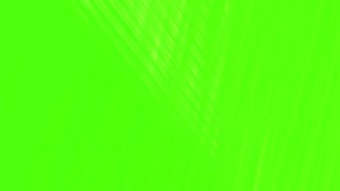 Parlak beyaz patikalar neon yeşilliklerin üzerinde parlıyor.