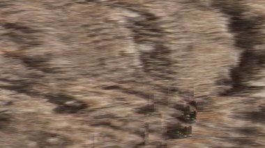 Renkli ışığın enerji akışları, koyu bir arkaplan karşısında mavi, yeşil ve mor tonlarını harmanlayarak büyüleyici bir soyut dinamik etki yaratır..