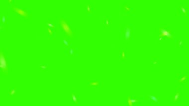 Yeşil Akış Küçük Buz Perdesi