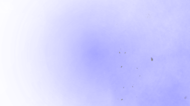 Derin mavi gradyan özellikleri altın parçacıkları dağıtarak mistik ve büyüleyici soyut kozmik bir etki yaratır..