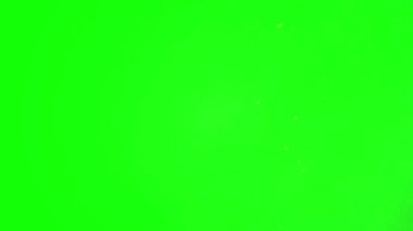 Canlı yeşil krom anahtar arka planı görsel efektler veya dijital birleştirme işi için sağlam, parlak bir arkaplan sağlar