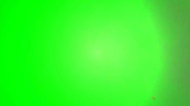 Canlı yeşil ekranlar dijital kompozitler ve görsel efektler için soyut turuncu ve beyaz dumanlar sergiliyor.