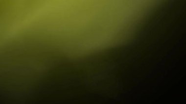 Ürkütücü parlayan sis, şüpheli sahneler için gizemli ve büyüleyici bir atmosfer yaratır.