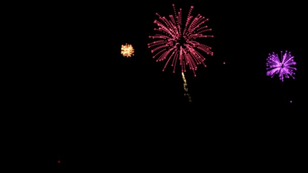 Illuminate Celebrations Firework Designs Burst Embodies Spirit Joy New Beginnings — Stock Video