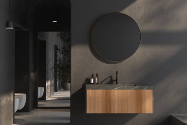 Gri duvarları, beton zemini, siyah musluğu, çekmecesi, duvarında oval aynası, bitkileri, tuvaleti, taharet musluğu, havuzu ve dağ manzarası olan modern koyu renk bir banyo. 3d oluşturma