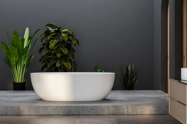 Moderno Cuarto Baño Interior Con Bañera Plantas Render — Foto de Stock