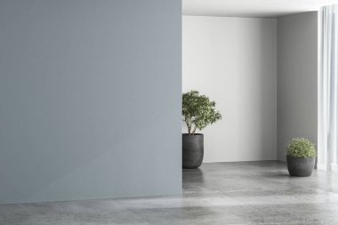 Mobilyaları olmayan üç boyutlu iç mimari. Boş oda, mavi ve beyaz duvarlar, Model yapın, kopyalayın. 3B Hazırlama