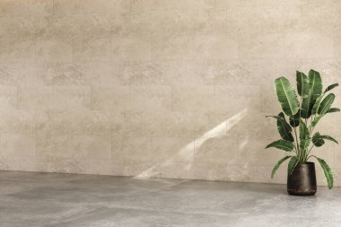 Modern parlak minimalist iç mimari duvar oturma odası, bitki, beton zemin. 3d canlandırma çizimi maketi.