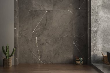 Mermer bir duvar ve beton döşemesi olan modern bir banyo modeli. Banyo süslemeleri için mükemmel. 3d oluşturma