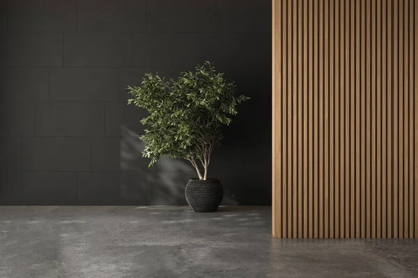 Beton zemin, ahşap ve duvar zeminli boş oda, bitki, lamba, güneş ışınları, ön manzara, maket için alan. 3d Hazırlama