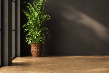 Dairenin modern iç tasarımı, siyah duvarlı boş oturma odası, panorama.