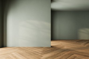 Çağdaş, boş, yeşil tonlu bir oda. Odada parke zemin, bitki, pencere var..