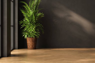 Dairenin modern iç tasarımı, siyah duvarlı boş oturma odası, panorama.