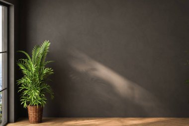 Dairenin modern iç tasarımı, siyah duvarlı boş oturma odası, panorama.