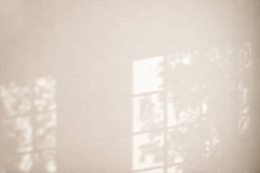 Duvarda yaprak gölgeleri olan soyut Boş Oda İçi.