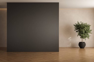 Oda içi boş alan arka planı, güneş ışığı ve gölge odası duvarları, güneş ışığı ve yapraklarla kaplı sıcak yaz odası ve parke döşemesi, bitki örtüsü..