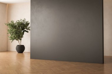 Oda içi boş alan arka planı, güneş ışığı ve gölge odası duvarları, güneş ışığı ve yapraklarla kaplı sıcak yaz odası ve parke döşemesi, bitki örtüsü..