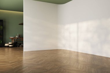 Yeşil tonları ve beyaz duvarları olan boş bir oturma odası. Ev ürünleri arka planı, arkaplan, kapalı alan, iç mekan