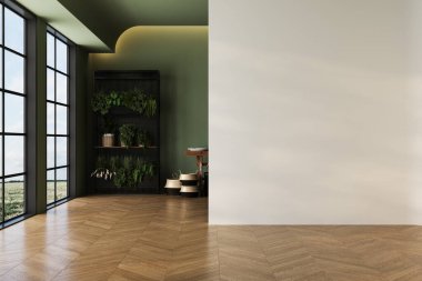 Yeşil tonları ve beyaz duvarları olan boş bir oturma odası. Ev ürünleri arka planı, arkaplan, kapalı alan, iç mekan