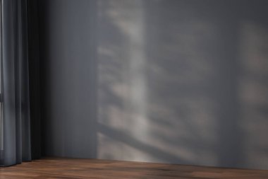 Beyaz duvarı ve ahşap zemini olan boş bir oda.