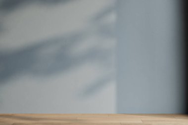 Boş oturma odası mavi tonlu duvar, güneş ışığı ve yapraklı oda gölgeler ve ahşap parke zemin.