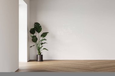 Beyaz duvarları olan minimalist boş bir oda, tahta ringa kemiği döşemesi, ve doğal ışıkla aydınlatılmış ahşap tavan kirişleri. 3B görüntüleme