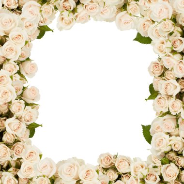 Güzel renkli çiçek çerçevesi beyaz arka planda izole edilmiş bir çiçek tüneli gibi görünüyor.