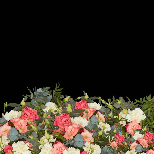 Buquê Fresco Colorido Flores Florescendo Bonito Primeiro Isolado Fundo Preto — Fotografia de Stock