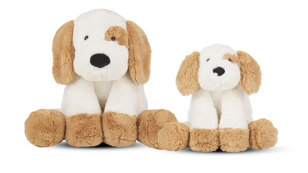 Köpek bebek kırpma yolu ile beyaz arkaplanda izole
