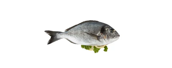Dorado Fisch Mit Zitrone Isoliert Auf Weißem Hintergrund — Stockfoto