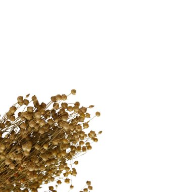 Kurumuş çiçek buketi kırpma yolu olan beyaz arkaplanda izole edilmiş.