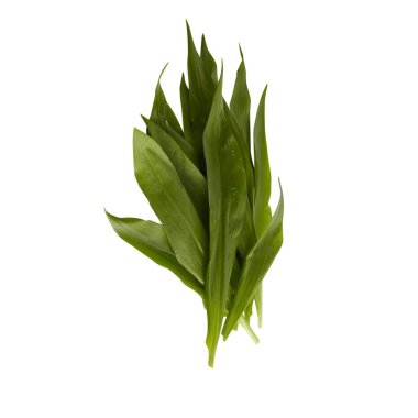 Taze yapraklar kırpma yolu ile izole edilmiş beyaz arkaplan