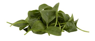 Bebek ıspanak yeşillik yığını