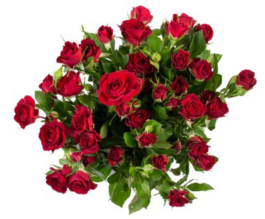 Kırmızı gül buketi ve taze yeşil yapraklar, üst manzara kesme yolu ile izole beyaz arka plan