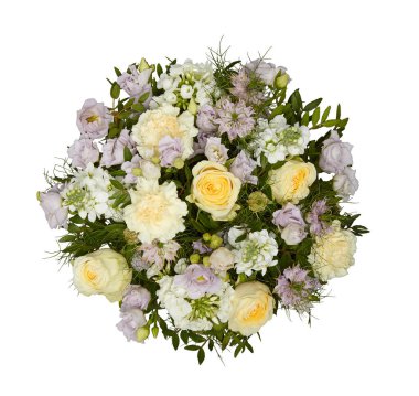 Soluk sarı güller, üst manzara izole edilmiş beyaz arkaplan kesme yolu ile kesilmiş