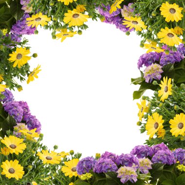 Beyaz arkaplanda çiçek açan çerçeve