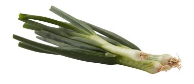 bahar soğanı kırpma yolu ile izole beyaz arkaplan kesme