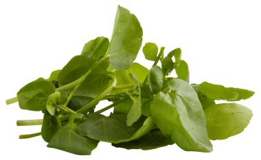 taze yeşillikler kırpma yolu ile izole beyaz arkaplan kesilir