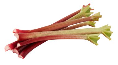 Uzun taze kırmızı sebze sapları kesme yolu ile izole beyaz arka plan kesilir