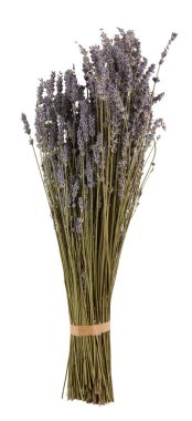 Lavanta buketi kırpma yolu ile izole edilmiş beyaz arkaplanı keser