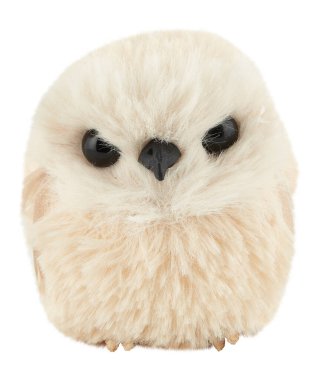 Sarı baykuş bebeği kırpma yolu ile izole edilmiş beyaz arkaplanı keser