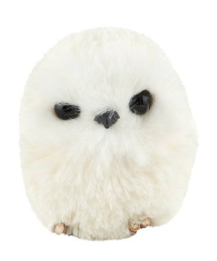 Beyaz baykuş bebeği kırpma yolu ile izole edilmiş beyaz arkaplanı keser