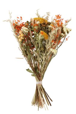 Yazın solmuş dalların çiçekleri kırpma yolu ile izole edilmiş beyaz arkaplanı keser