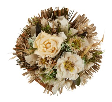 Yazın solmuş dal şişkinliği, üst görünüm kırpma yolu ile izole beyaz arkaplan kesilir